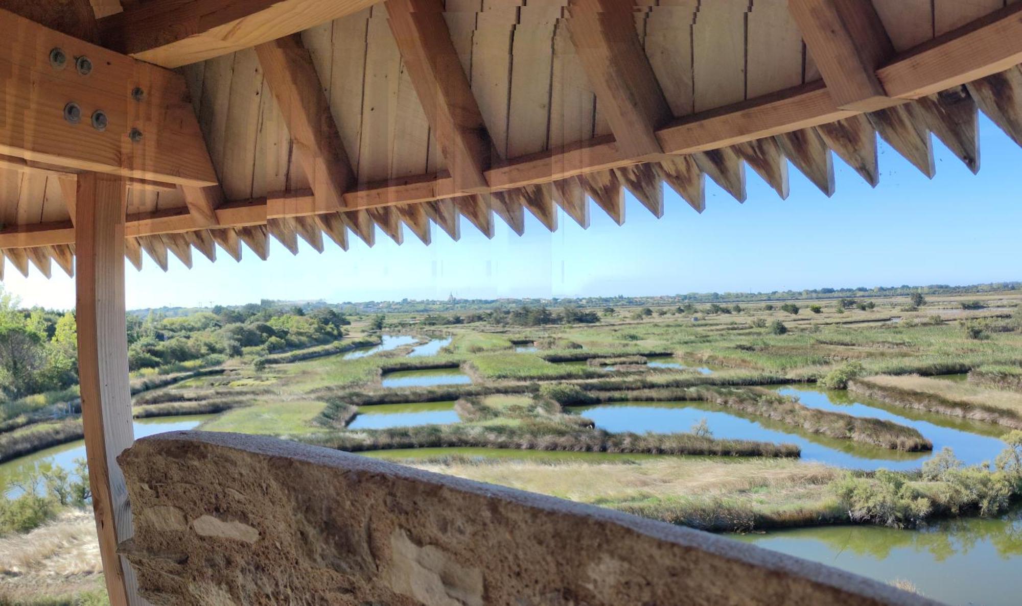 Les Oliviers Appartement L'Ile-d'Olonne Buitenkant foto